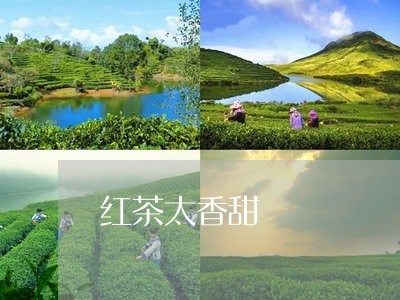 红茶太香甜/2023121942824