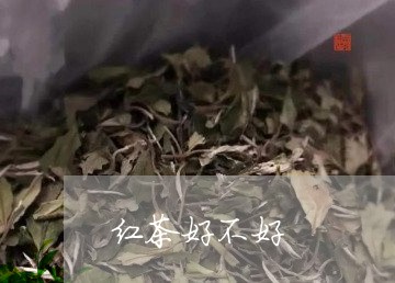 红茶好不好/2023121974917