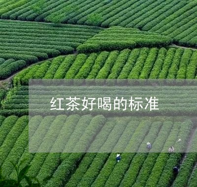 红茶好喝的标准/2023042910861