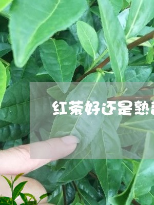 红茶好还是熟普洱茶好/2023061857459