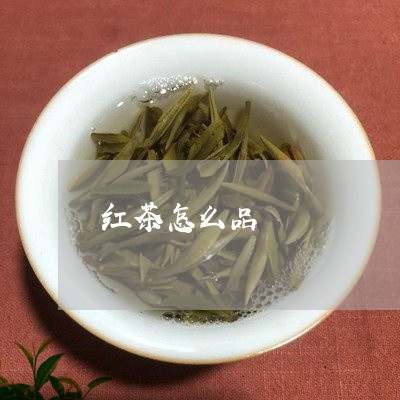 红茶怎么品/2023121911714