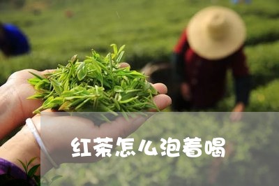 红茶怎么泡着喝/2023042927036