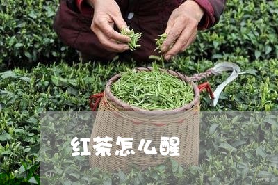 红茶怎么醒/2023090259270