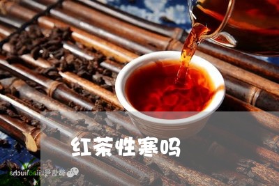 红茶性寒吗/2023090218483