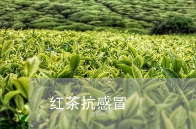 红茶抗感冒/2023090246159