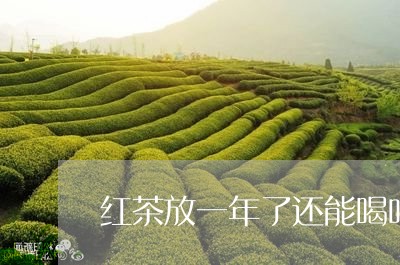 红茶放一年了还能喝吗/2023092111536