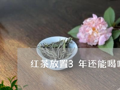 红茶放置3年还能喝吗/2023092130494