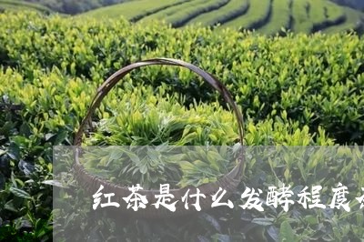 红茶是什么发酵程度茶/2023071493716