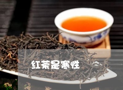 红茶是寒性/2023121944856