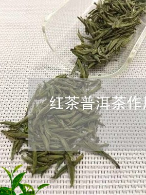 红茶普洱茶作用与功效禁忌/2023121880382