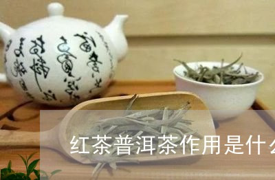 红茶普洱茶作用是什么茶/2023121868504