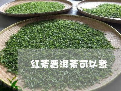 红茶普洱茶可以煮/2023110866168