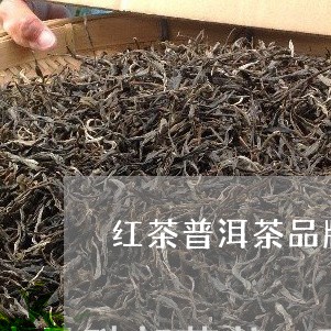 红茶普洱茶品牌推荐一下/2023112720493