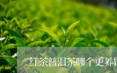 红茶普洱茶哪个更养胃/2023080189351