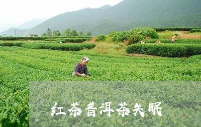 红茶普洱茶失眠/2023083173158