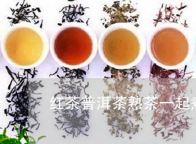 红茶普洱茶熟茶一起煮/2023120627491