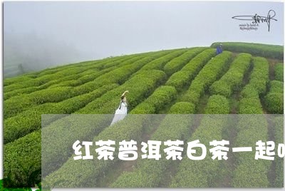 红茶普洱茶白茶一起喝/2023063006169