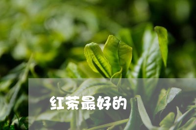 红茶最好的/2023121923038