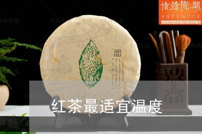 红茶最适宜温度/2023042983300