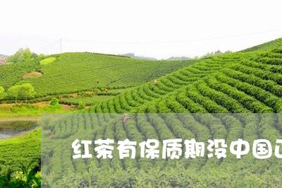 红茶有保质期没中国正当红茶叶/2023053192704