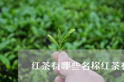 红茶有哪些名称红茶有多少种类/2023053159793