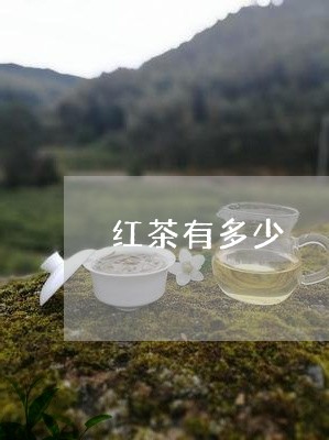 红茶有多少/2023090224047