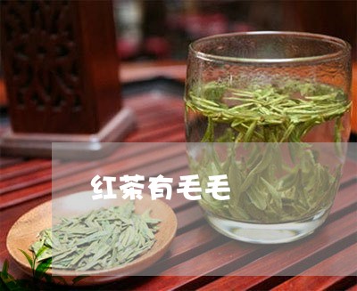 红茶有毛毛/2023090223939