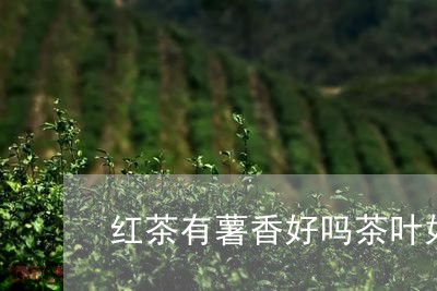 红茶有薯香好吗茶叶如何加工成红茶/2023060402605