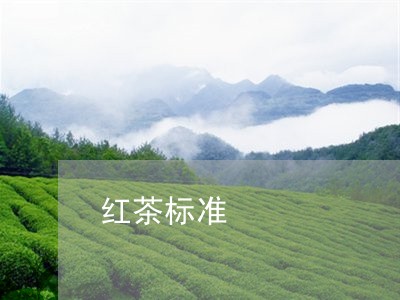 红茶标准/2023090184715