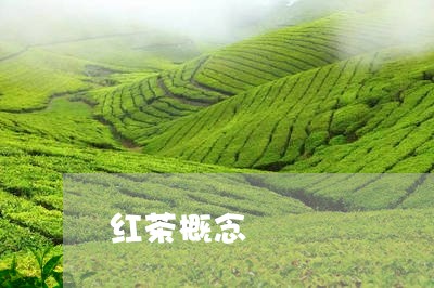 红茶概念/2023090199472