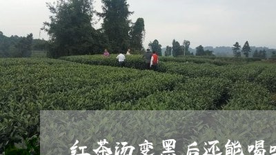 红茶汤变黑后还能喝吗/2023060859694