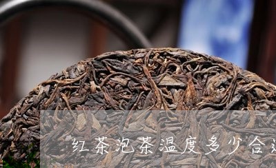 红茶泡茶温度多少合适/2023071523795