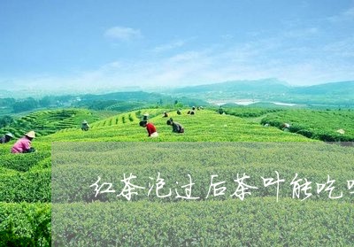 红茶泡过后茶叶能吃吗/2023061013959