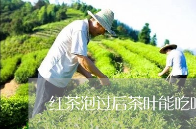 红茶泡过后茶叶能吃吗/2023092202938