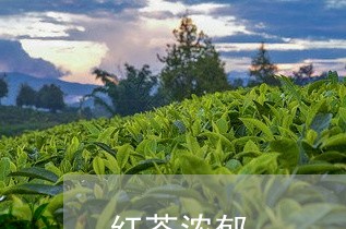 红茶浓郁/2023121993938