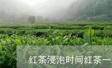 红茶浸泡时间红茶一般冲泡几分钟/2023060295027