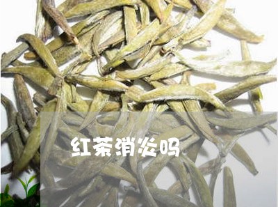 红茶消炎吗/2023121973626