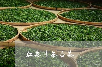 红茶清茶白茶/2023052354148