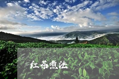 红茶煮法/2023121947369