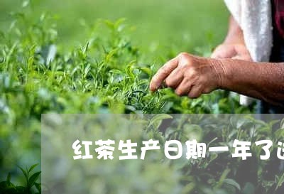 红茶生产日期一年了送人好吗/2023052618572