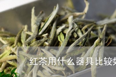 红茶用什么器具比较好/2023071427059