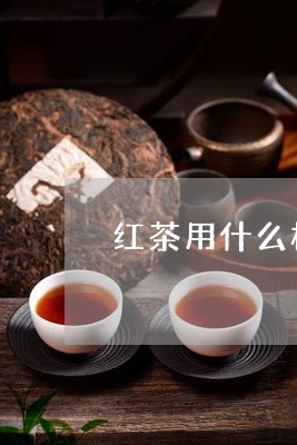 红茶用什么杯喝比较好/2023071472716