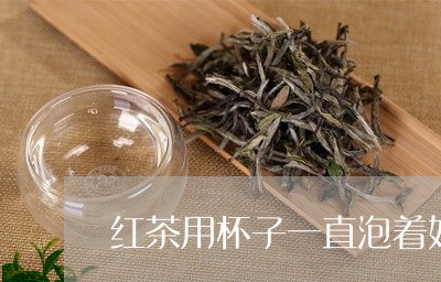 红茶用杯子一直泡着好吗/2023081059504