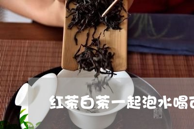 红茶白茶一起泡水喝可以吗/2023111065728