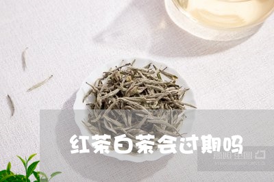 红茶白茶会过期吗/2023071213848