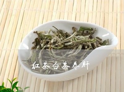 红茶白茶养肝/2023052381605