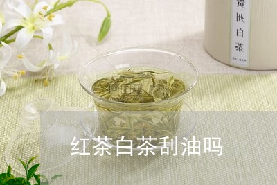 红茶白茶刮油吗/2023060824060