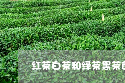 红茶白茶和绿茶黑茶的区别/2023042781604