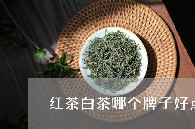 红茶白茶哪个牌子好点保存/2023111097171