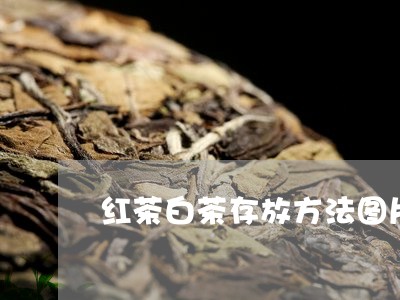 红茶白茶存放方法图片视频/2023042769574